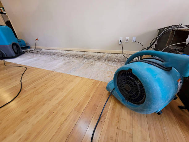 Professional Water Damage Repair technician working in Hotevilla, AZ
